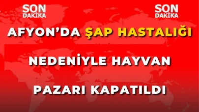 Afyonkarahisar’da Şap Hastalığı Nedeniyle Hayvan Pazarı Kapatıldı