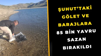 Şuhut’taki Gölet ve Barajlara 85 Bin Yavru Sazan Bırakıldı