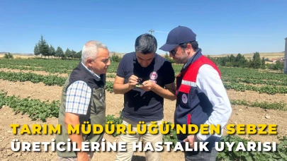 Tarım Müdürlüğü’nden Sebze Üreticilerine Hastalık Uyarısı