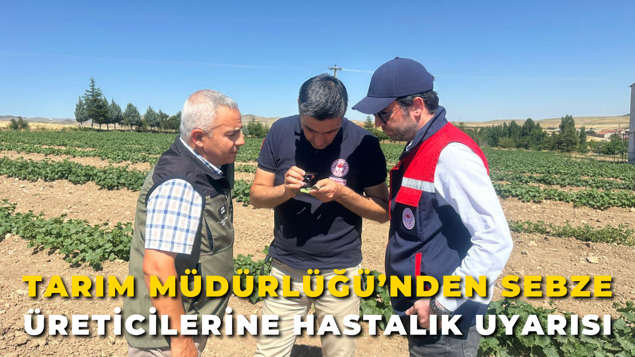 Tarım Müdürlüğü’nden Sebze Üreticilerine Hastalık Uyarısı