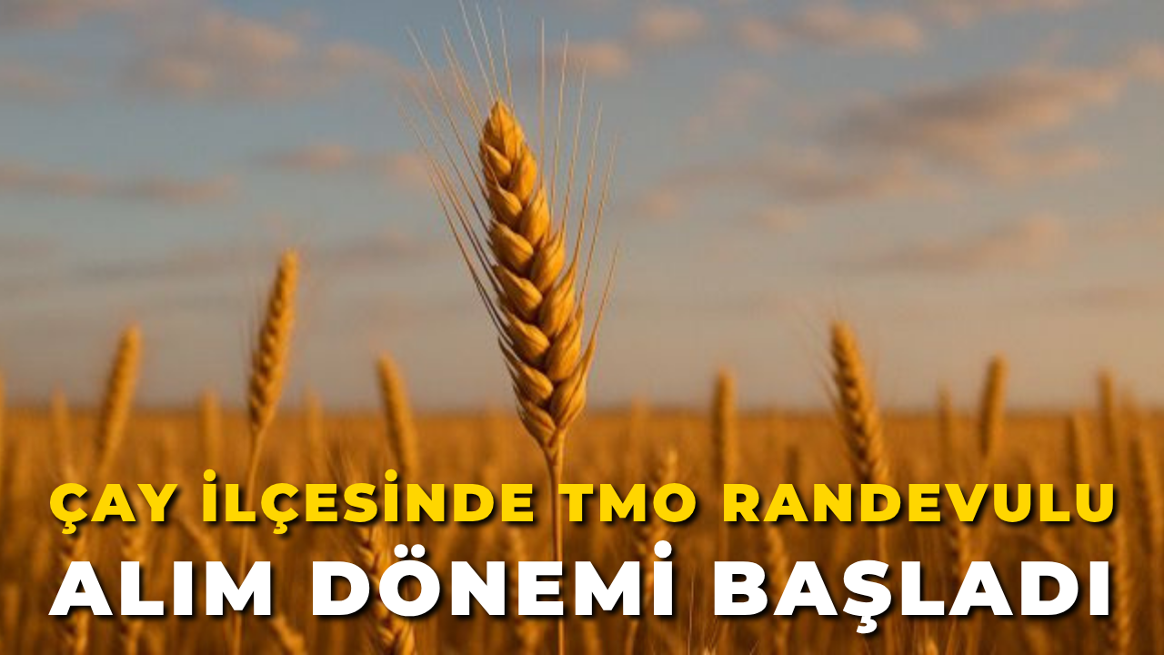 Çay İlçesinde TMO Randevulu Alım Dönemi Başladı