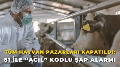 Tüm Hayvan Pazarları Kapatıldı: 81 İle “Acil” Kodlu Şap Alarmı