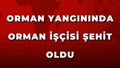 Orman Yangınında Orman İşçisi Şehit Oldu