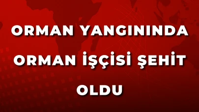 Orman Yangınında Orman İşçisi Şehit Oldu
