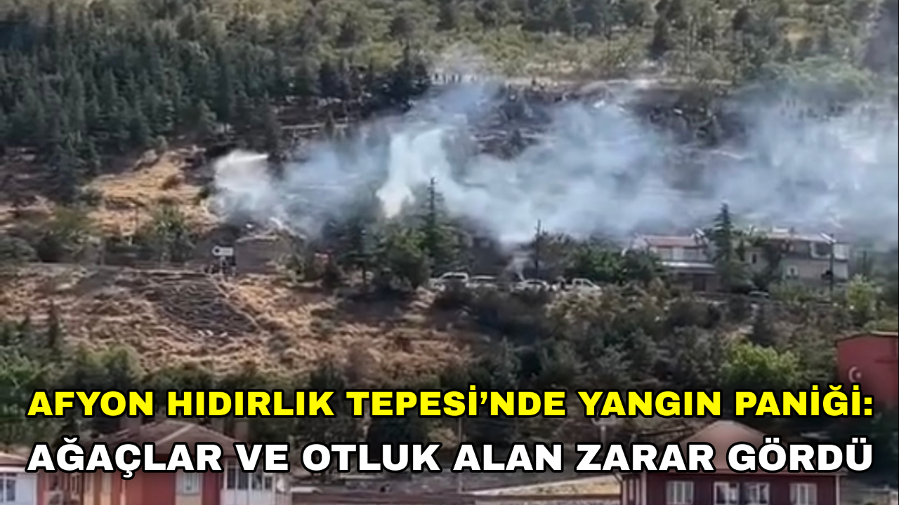 Afyon Hıdırlık Tepesi’nde Yangın Paniği: Ağaçlar ve Otluk Alan Zarar Gördü