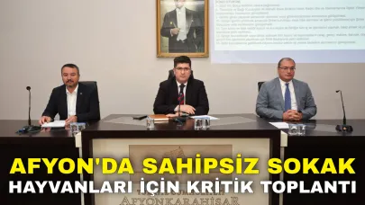 Afyon'da Sahipsiz Sokak Hayvanları İçin Kritik Toplantı