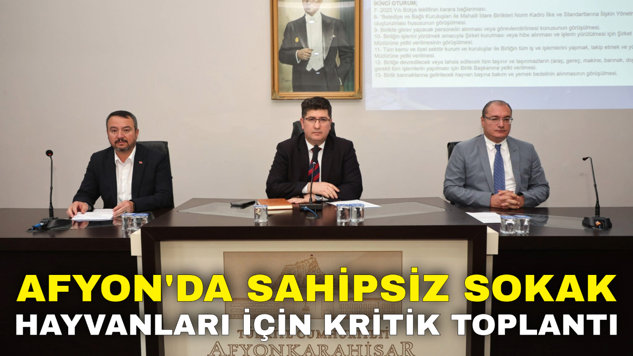Afyon'da Sahipsiz Sokak Hayvanları İçin Kritik Toplantı