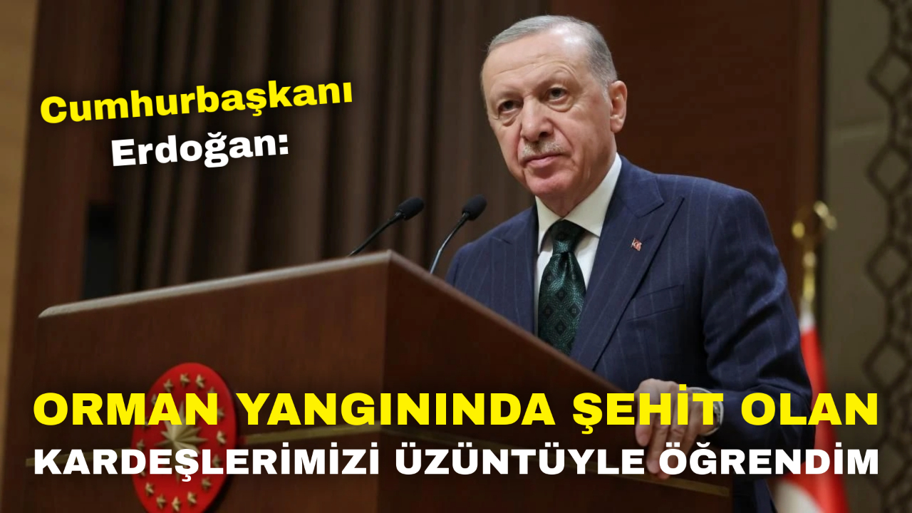 Cumhurbaşkanı Erdoğan: "Orman Yangınında Şehit Olan Kardeşlerimizi Üzüntüyle Öğrendim"