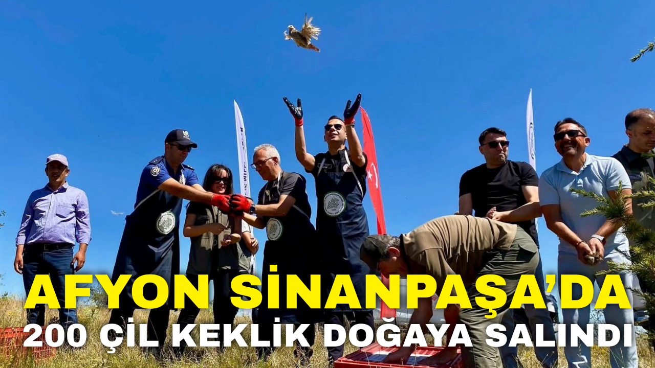 Afyon Sinanpaşa’da 200 Çil Keklik Doğaya Salındı