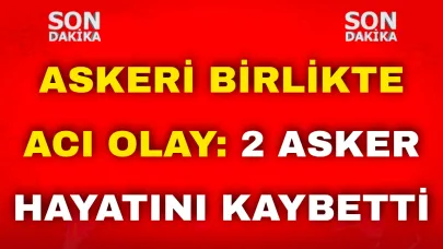 SonDakika- Askeri Birlikte Acı Olay: 2 Asker Hayatını Kaybetti