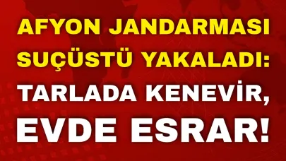 Afyon Jandarması Suçüstü Yakaladı: Tarlada Kenevir, Evde Esrar!