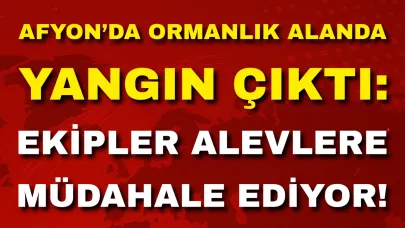 Afyon’da Ormanlık Alanda Yangın Çıktı: Ekipler Alevlere Müdahale Ediyor!