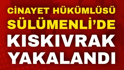 Cinayet Hükümlüsü Sülümenli’de Kıskıvrak Yakalandı!