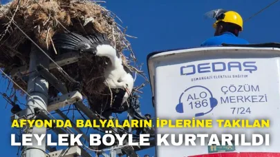 Afyon'da Balyaların İplerine Takılan Leylek Böyle Kurtarıldı