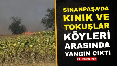 Sinanpaşa’da Kınık ve Tokuşlar Köyleri Arasında Yangın Çıktı