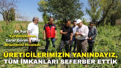 Ak Partili Yurdunuseven, Zarar Gören Tarım Arazilerini İnceledi: “Üreticilerimizin Yanındayız, Tüm İmkanları Seferber Ettik”