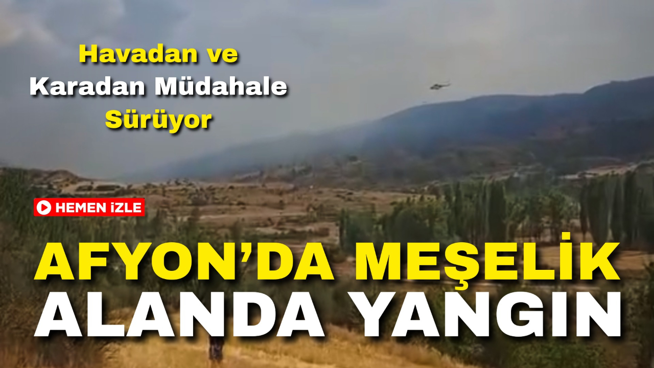 Afyon’da Meşelik Alanda Yangın: Havadan ve Karadan Müdahale Sürüyor