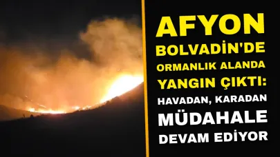 Afyon Bolvadin'de Ormanlık Alanda Yangın Çıktı: Havadan, Karadan Müdehale Devam Ediyor