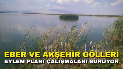 Eber ve Akşehir Gölleri Eylem Planı Çalışmaları Sürüyor
