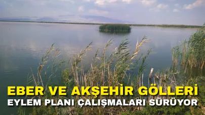 Eber ve Akşehir Gölleri Eylem Planı Çalışmaları Sürüyor