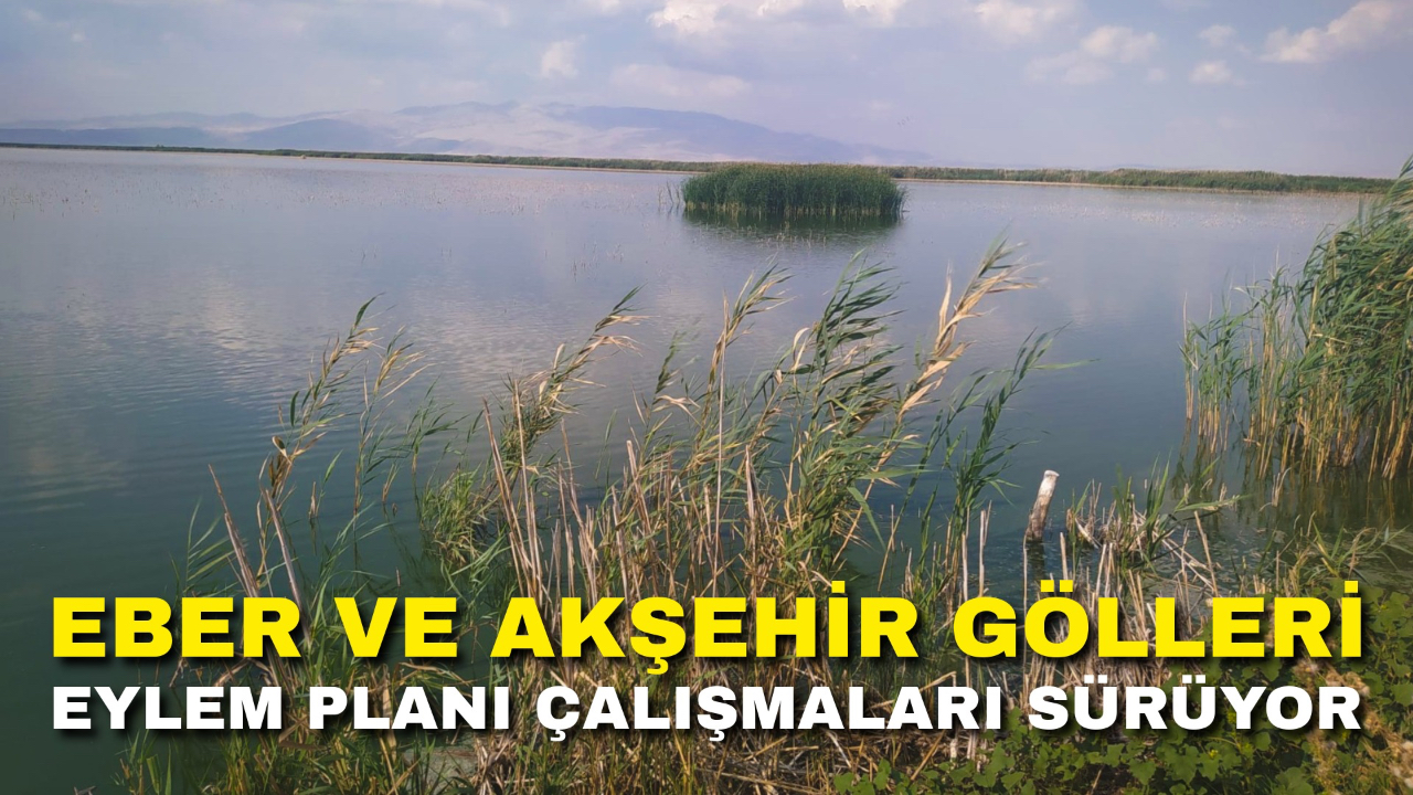 Eber ve Akşehir Gölleri Eylem Planı Çalışmaları Sürüyor
