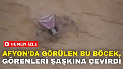 Afyon’da Görülen Bu Böcek, Görenleri Şaşkına Çevirdi