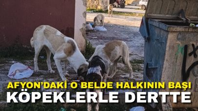 Afyon’daki O Belde Halkının Başı Köpeklerle Dertte