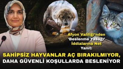 Afyon Valiliği’nden ‘Beslenme Yasağı’ İddialarına Net Yanıt: “Sahipsiz Hayvanlar Aç Bırakılmıyor, Daha Güvenli Koşullarda Besleniyor”