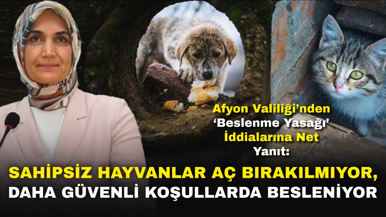 Afyon Valiliği’nden ‘Beslenme Yasağı’ İddialarına Net Yanıt: “Sahipsiz Hayvanlar Aç Bırakılmıyor, Daha Güvenli Koşullarda Besleniyor”