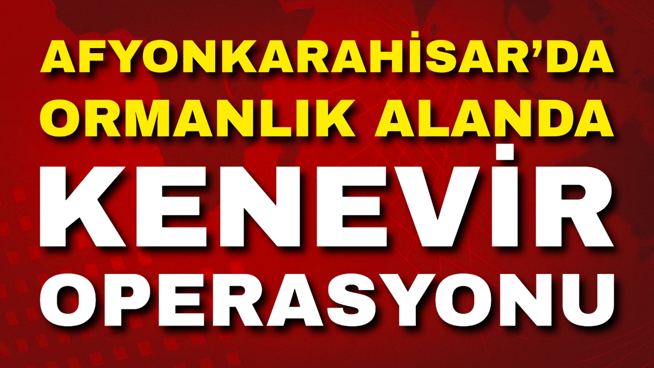 Afyon’da Ormanlık Alanda Kenevir Operasyonu