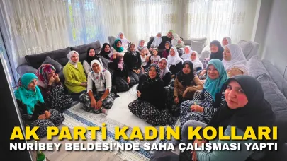 AK Parti Kadın Kolları Nuribey Beldesi’nde Saha Çalışması Yaptı