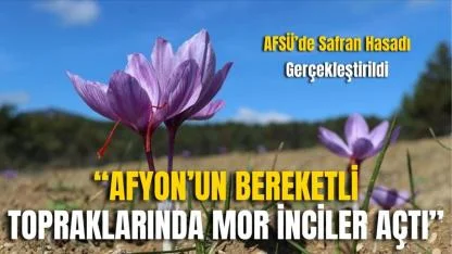 AFSÜ’de Safran Hasadı Gerçekleştirildi: “Afyon’un Bereketli Topraklarında Mor İnciler Açtı”