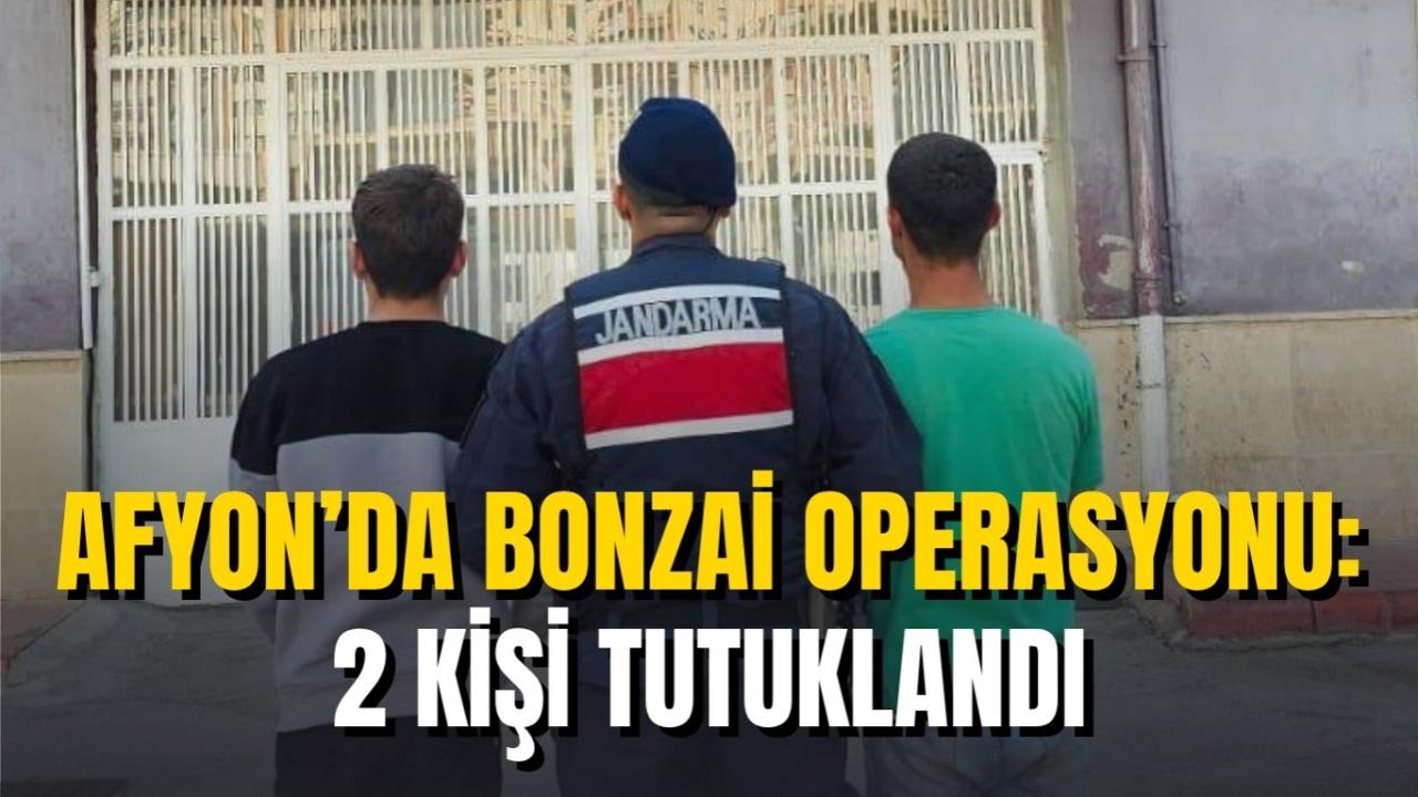 Afyon’da Bonzai Operasyonu: 2 Kişi Tutuklandı