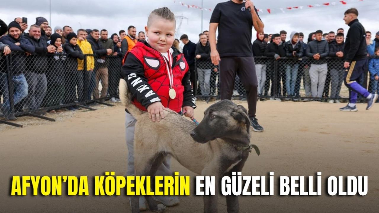 Afyon’da Köpeklerin En Güzeli Belli Oldu