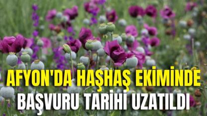 Afyon'da Haşhaş Ekiminde Başvuru Tarihi Uzatıldı