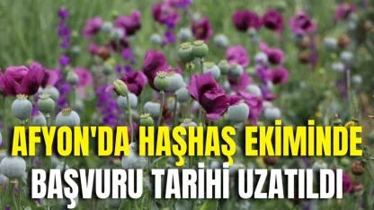 Afyon'da Haşhaş Ekiminde Başvuru Tarihi Uzatıldı
