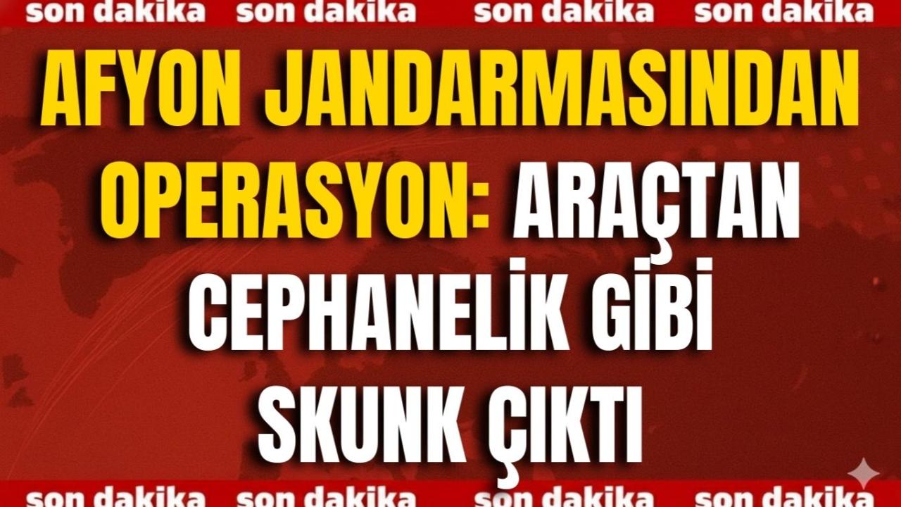 Afyon Jandarmasından Operasyon: Araçtan Cephanelik Gibi Skunk Çıktı!