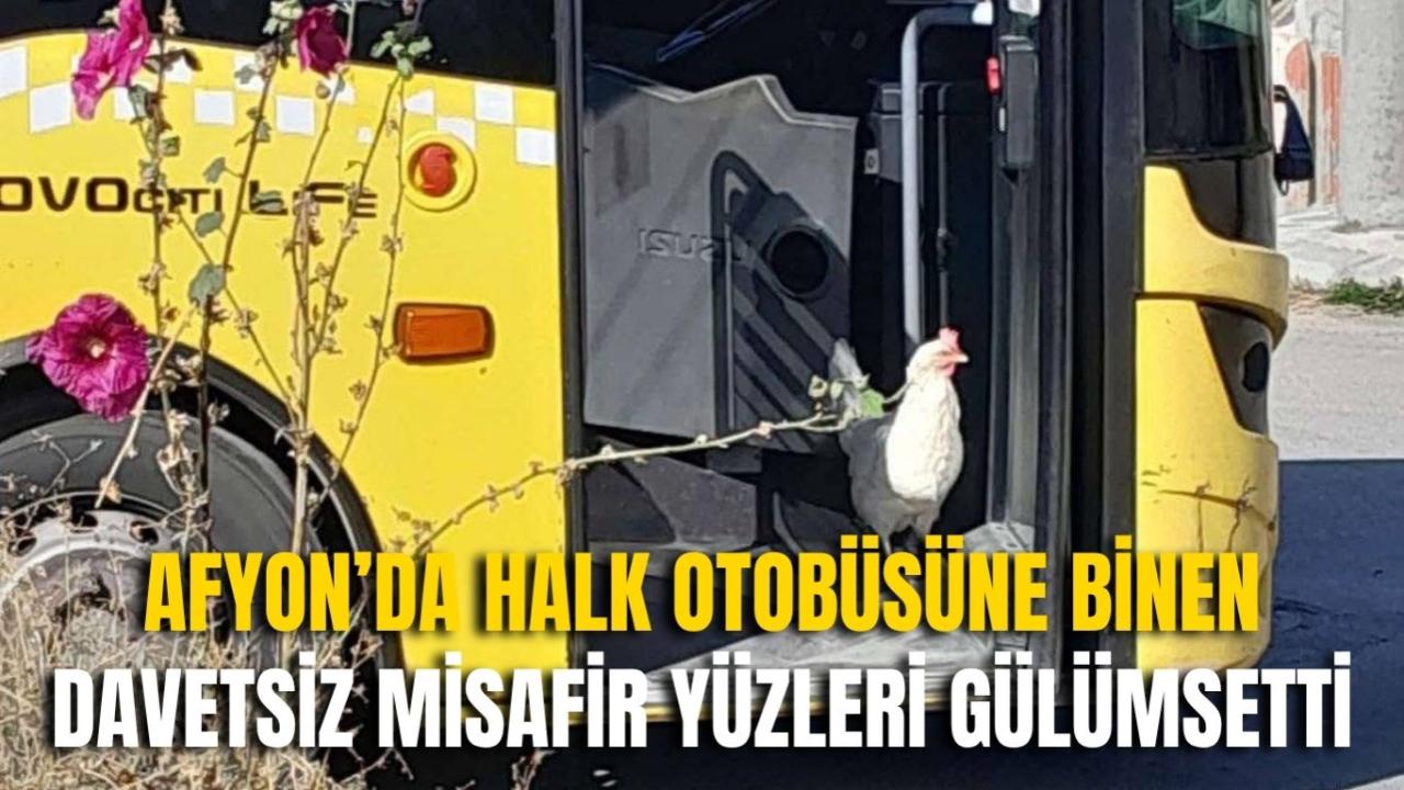 Afyon’da Halk Otobüsüne Binen Davetsiz Misafir Yüzleri Gülümsetti