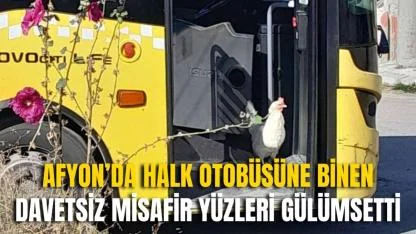 Afyon’da Halk Otobüsüne Binen Davetsiz Misafir Yüzleri Gülümsetti