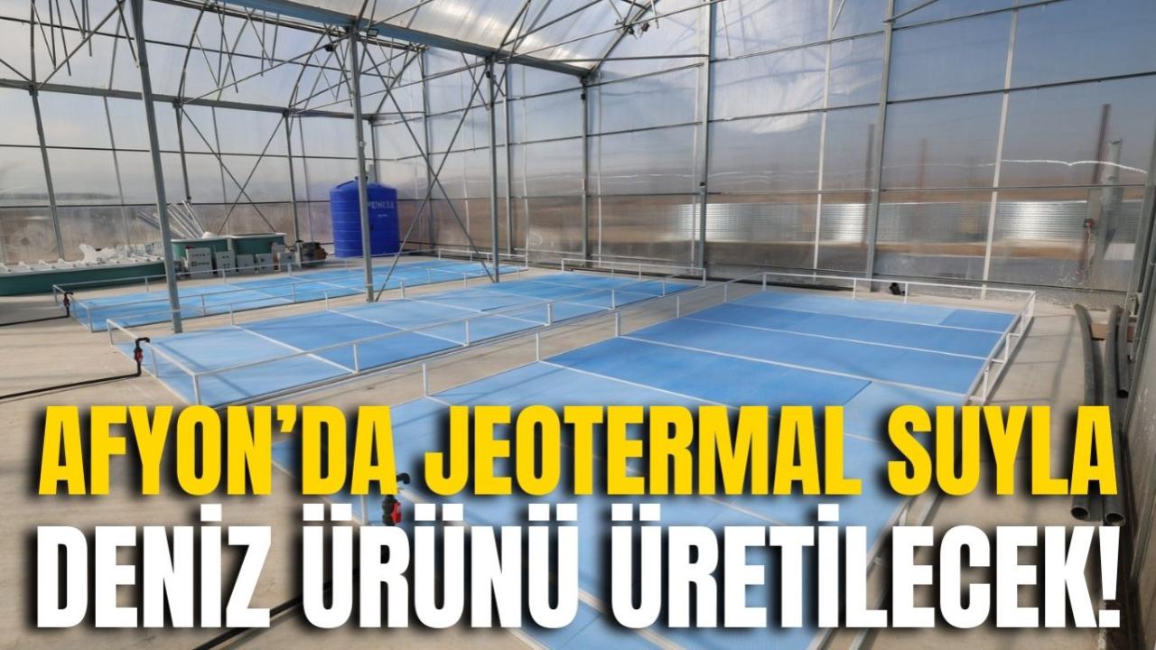 Afyon’da Jeotermal Suyla Deniz Ürünü Üretilecek!