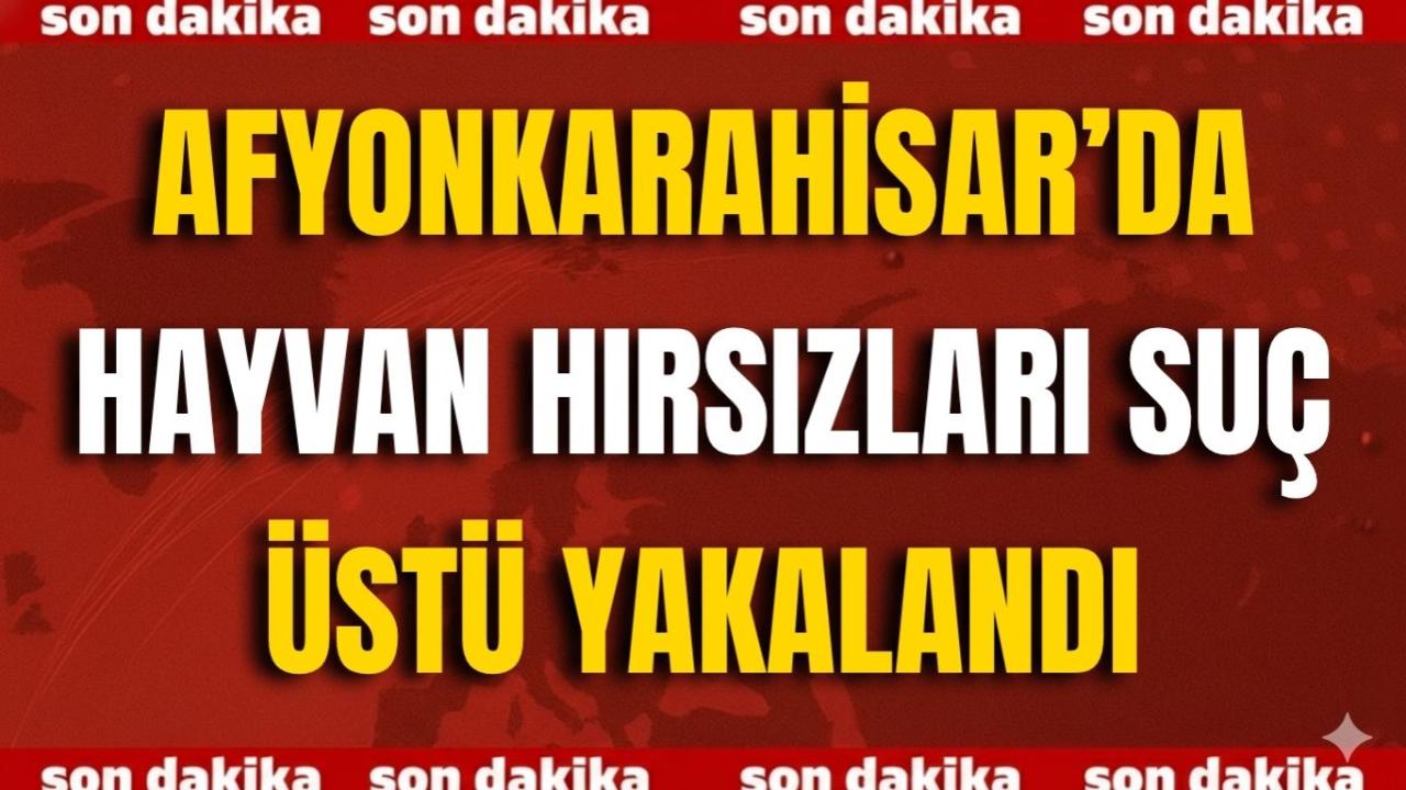 Afyonkarahisar’da Hayvan Hırsızları Suç Üstü Yakalandı