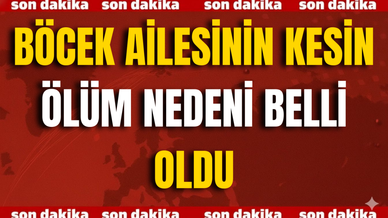 Böcek Ailesinin Kesin Ölüm Nedeni Belli Oldu