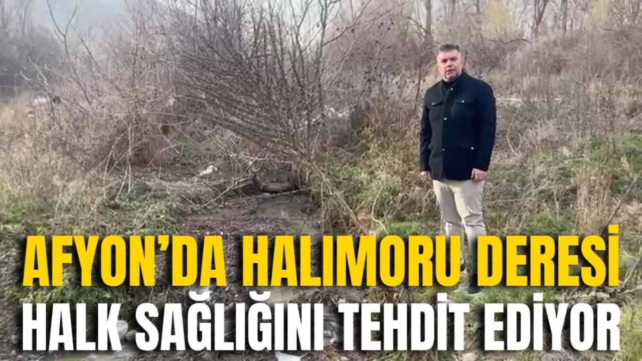 Afyon’da Halımoru Deresi Halk Sağlığını Tehdit Ediyor
