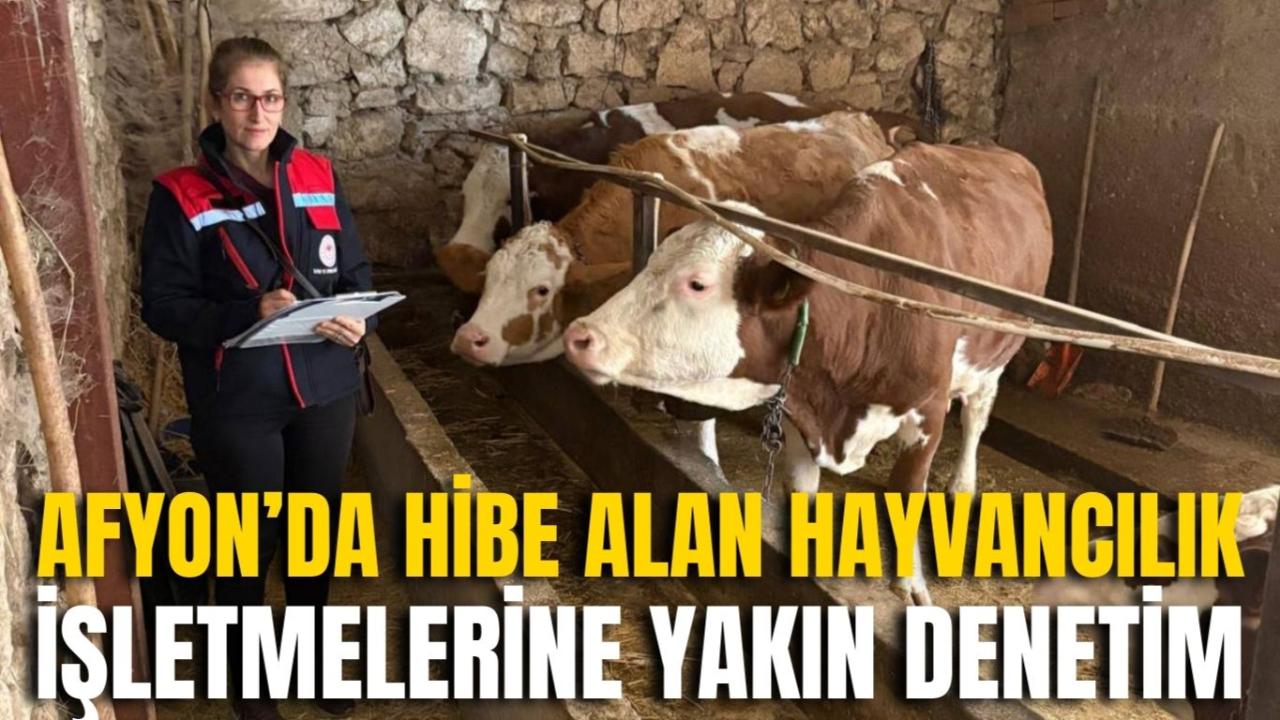 Afyon’da Hibe Alan Hayvancılık İşletmelerine Yakın Denetim