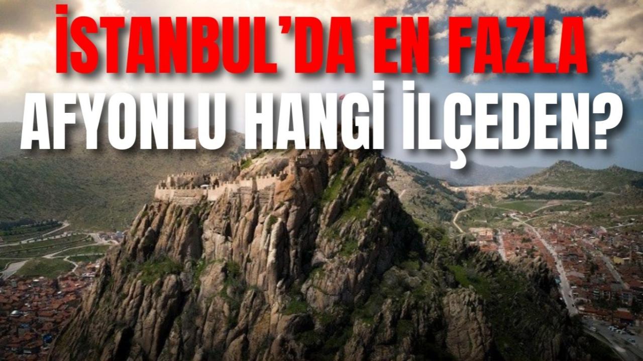 İstanbul’da En Fazla Afyonlu Hangi İlçeden?