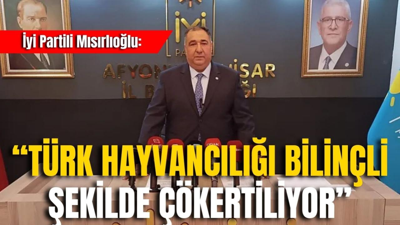 İyi Partili Mısırlıoğlu: “Türk Hayvancılığı Bilinçli Şekilde Çökertiliyor”