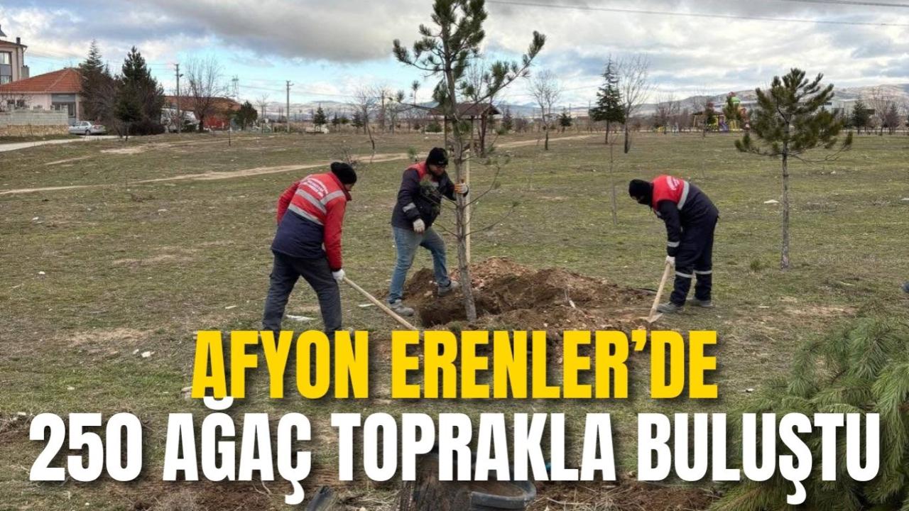 Afyon Erenler’de 250 Ağaç Toprakla Buluştu