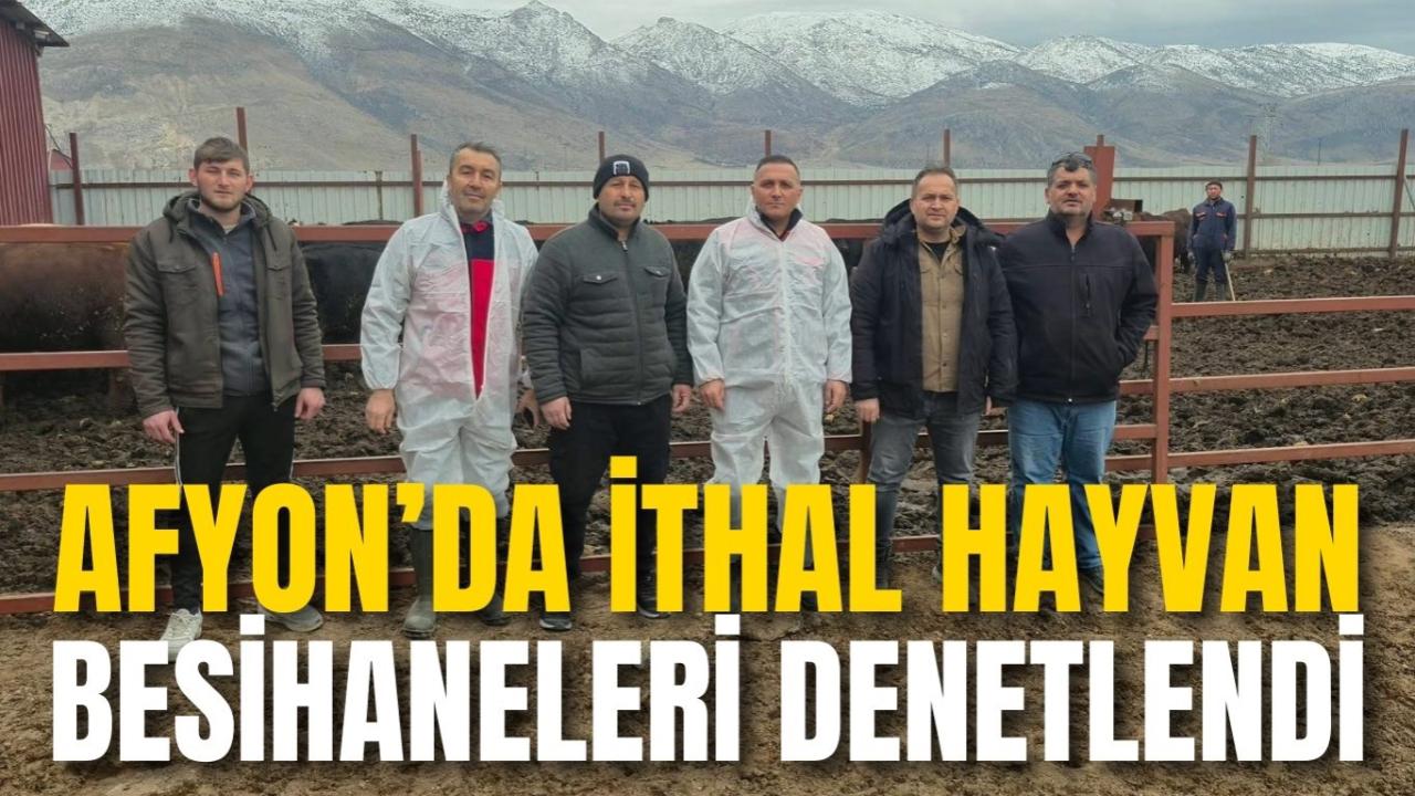 Afyon’da İthal Hayvan Besihaneleri Denetlendi