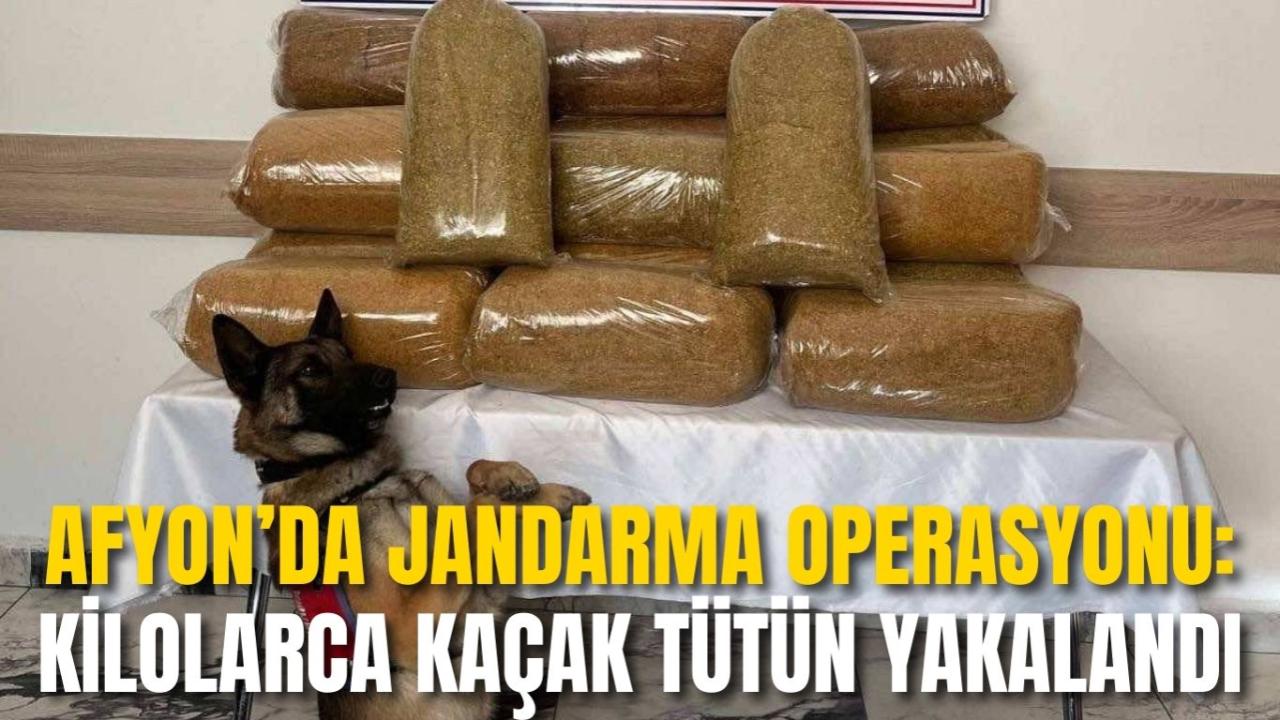 Afyon’da Jandarma Operasyonu: Kilolarca Kaçak Tütün Yakalandı