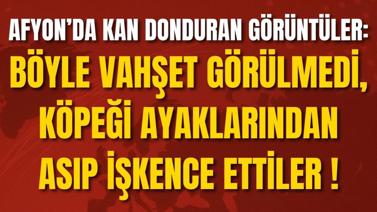 Afyon’da Kan Donduran Görüntüler: Böyle Vahşet Görülmedi, Köpeği Ayaklarından Asıp İşkence Ettiler